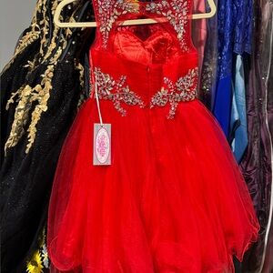 Cinderella Scarlet Embellished Kids Dress